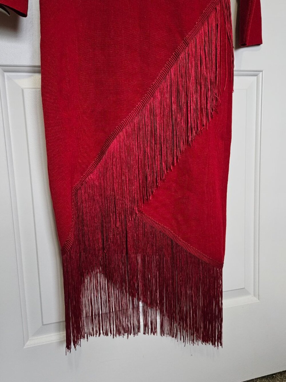 Ashley Stewart NWT 14/16 Homecoming Dress Autumn Wedding Guest Dress Fringe - Picture 3 of 6